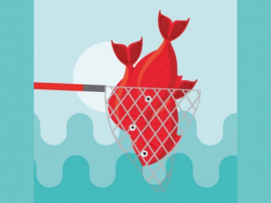 Fishy Kawaii Online Game