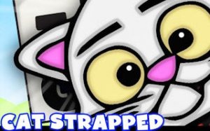 Feline Word Challenge: Vocabulary Builder