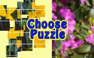 Puzzle Selection: Logic Challenges
