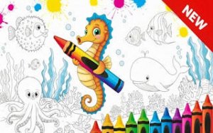Ocean Life Color Studio