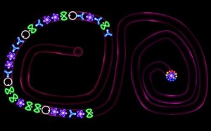 TD Neon Shoot - Zuma: Marble Defense Puzzle Game