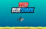 Wild Blueshark: Ocean Hunter