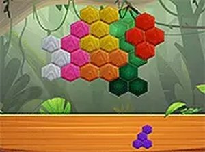 Tropical Hexagon Tile Fit